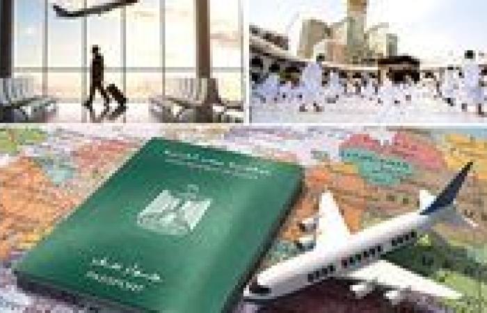 ضبط 5 شركات تعمل بمجال السياحة بدون ترخيص