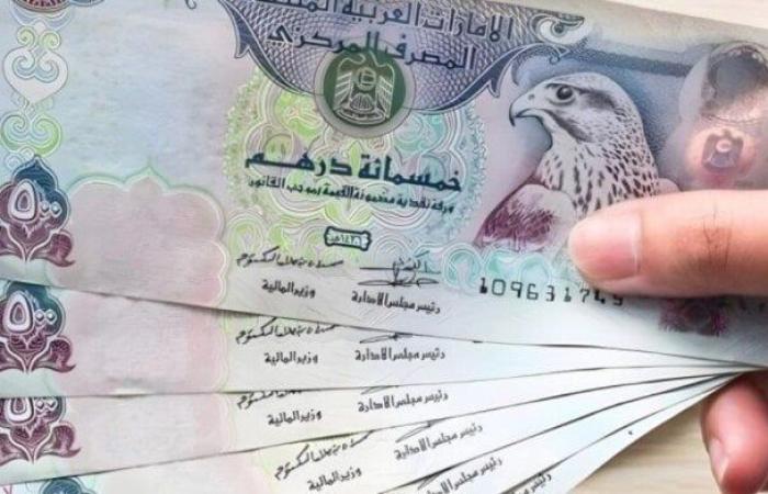 سعر الدرهم الإماراتي مقابل الجنيه المصري اليوم الخميس 1 مايو 2025