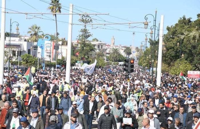 دراسة: إنشاء "التنسيقيات" يستهدف الإفلات من البيروقراطية في النقابات