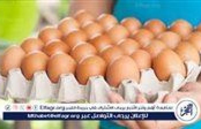 أسعار طبق البيض اليوم الجمعة 2-5-2025 في قنا