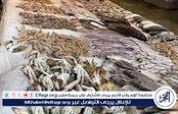 أسعار الأسماك اليوم الخميس الموافق 7-5-2025 في سوهاج